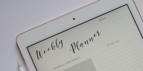 January 2024 Newsletter